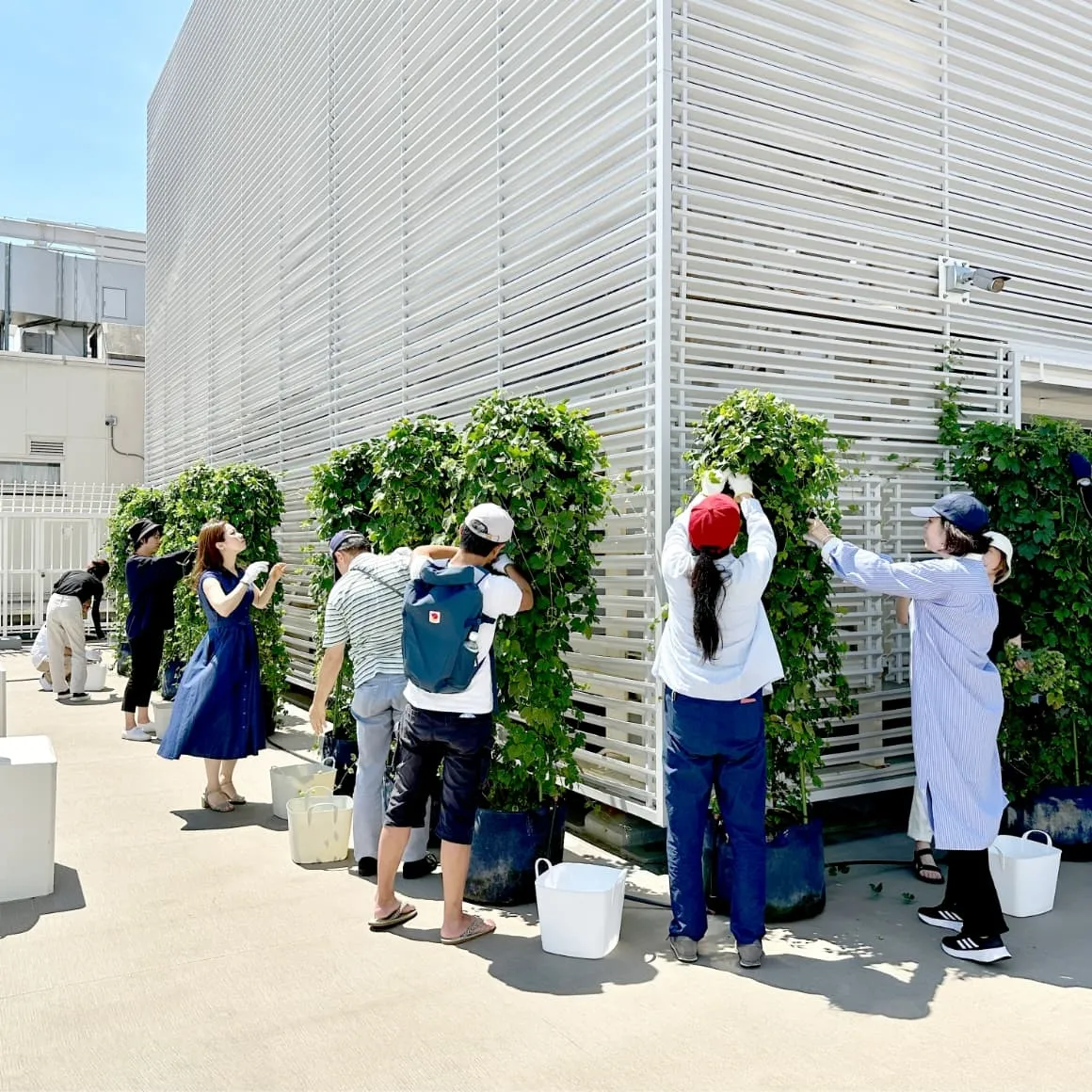 アシノソラ