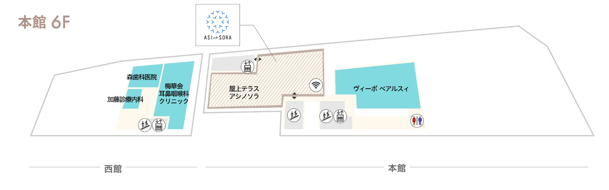 本館6F