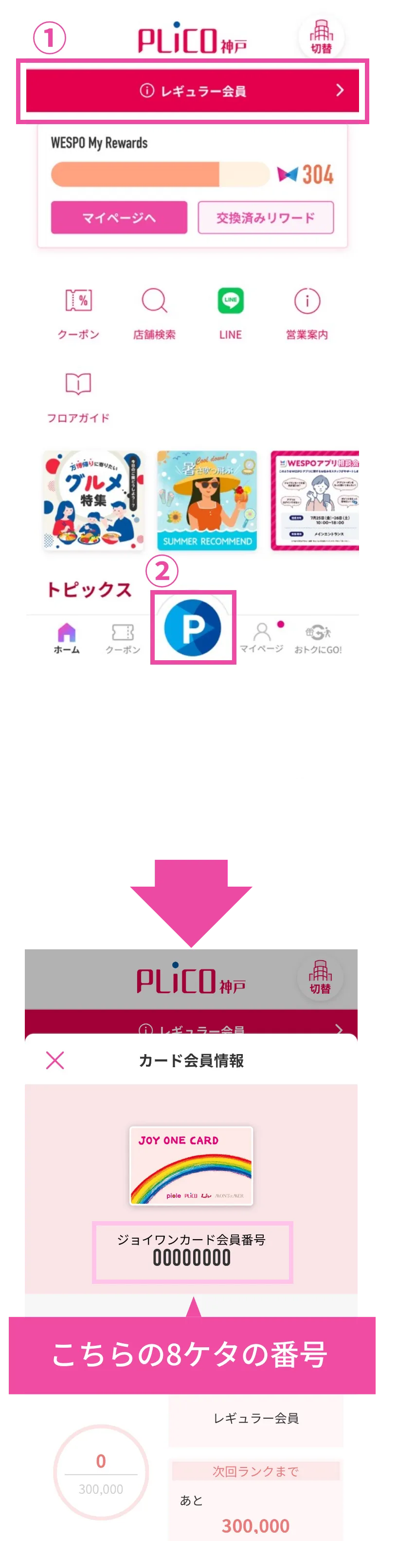 WESPO画面