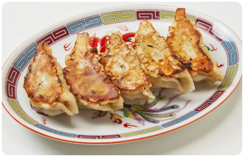 ハレノチ特選肉餃子