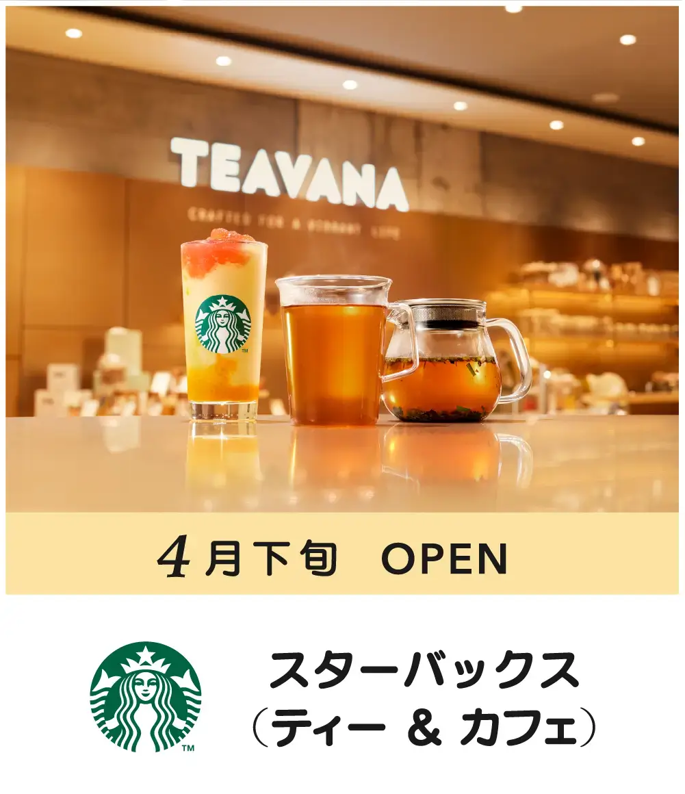 スターバックス(ティー & カフェ)mv