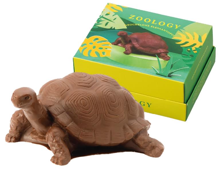 ZOOLOGY（ズーロジー）