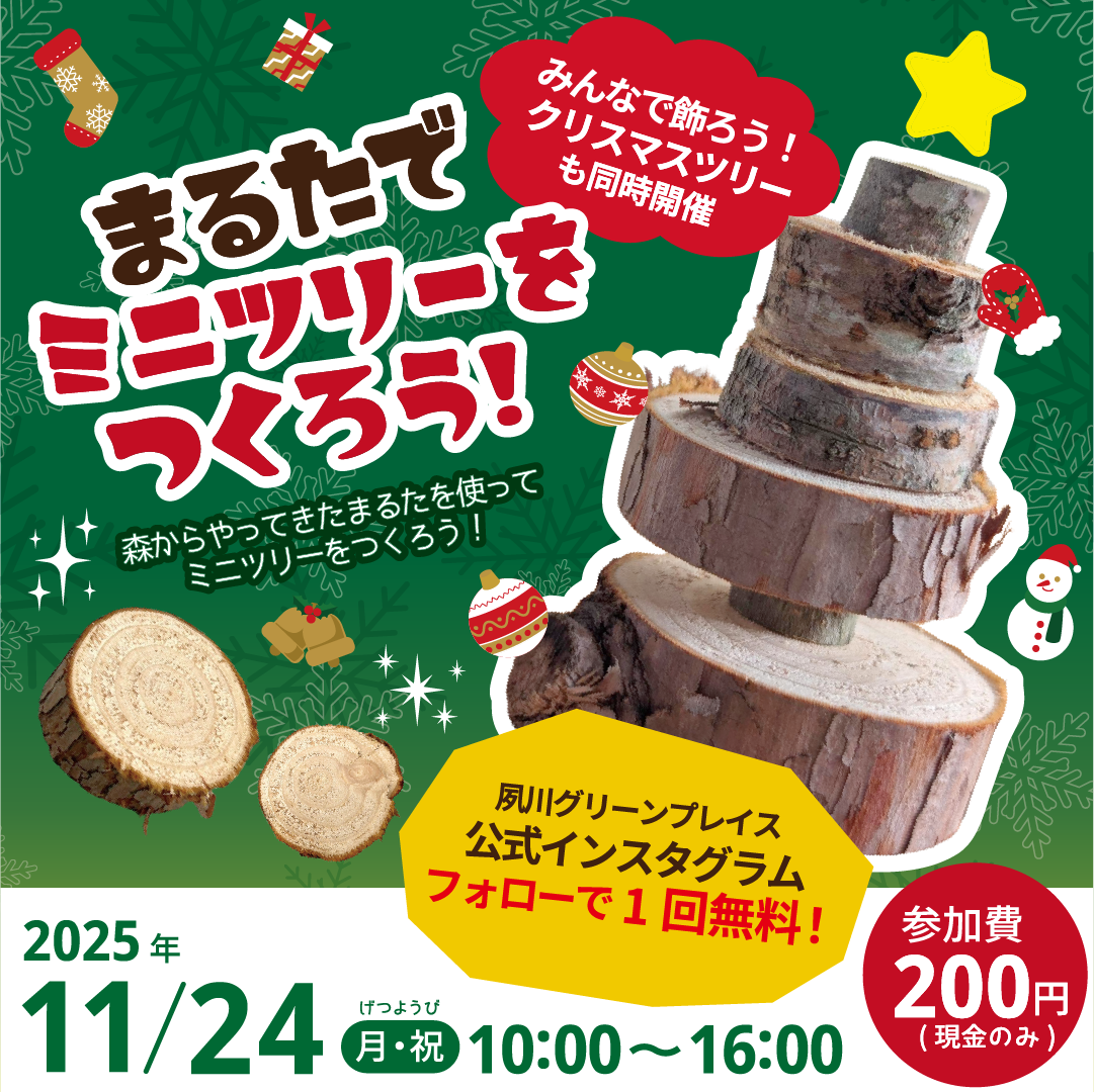 まるたでミニツリーをつくろう！