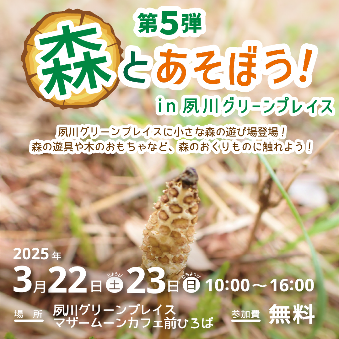 森とあそぼう！in夙川グリーンプレイス 第5弾