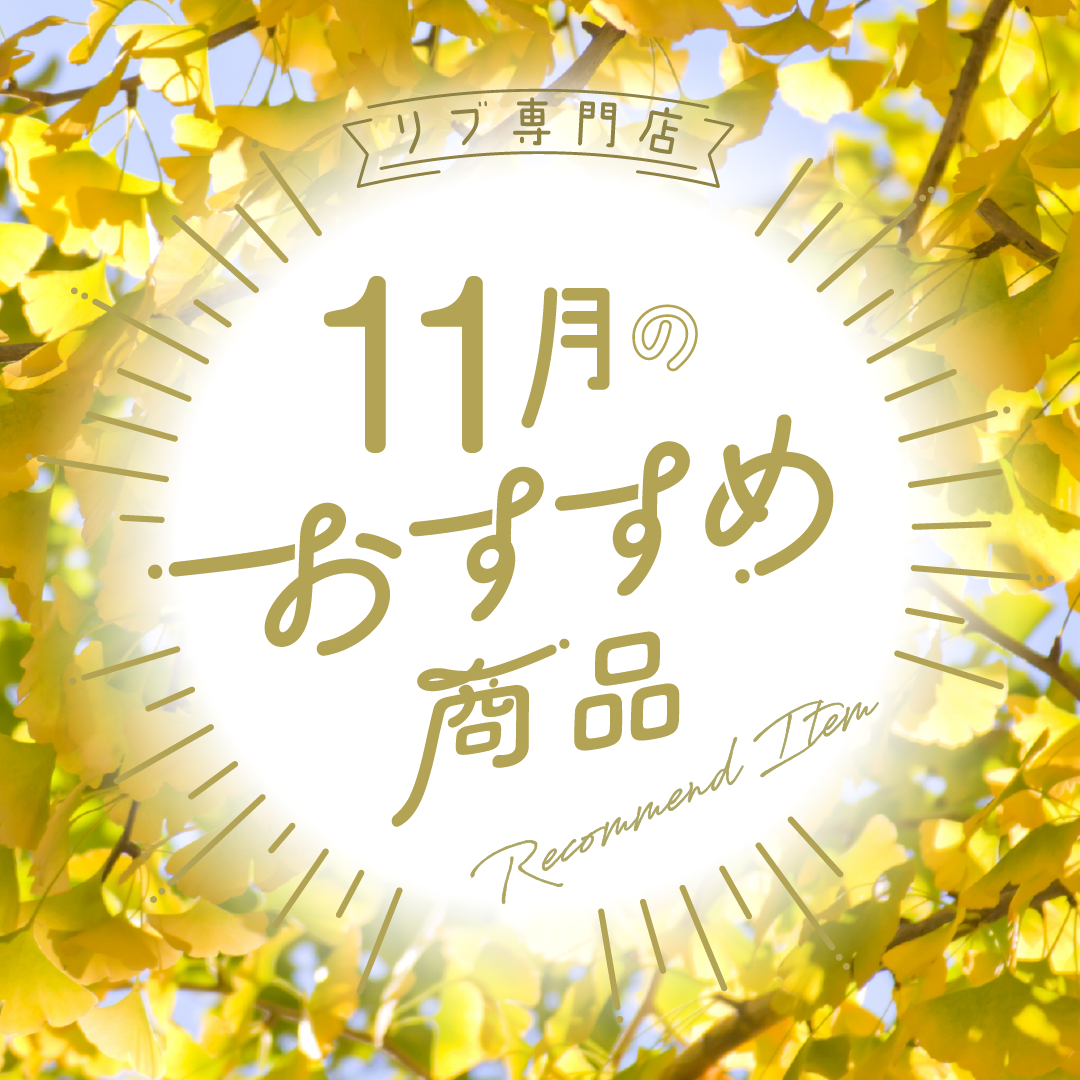 ピックアップイメージ