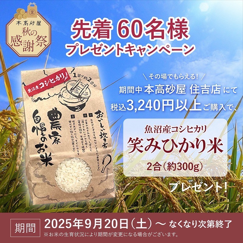 ピックアップイメージ