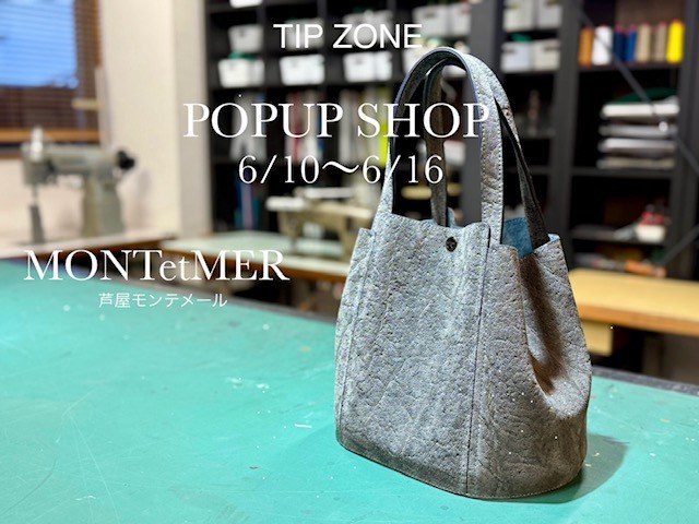 TIP ZONE