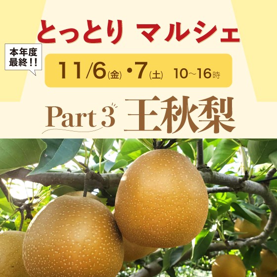 ✨Part 3 王秋梨✨とっとりマルシェ