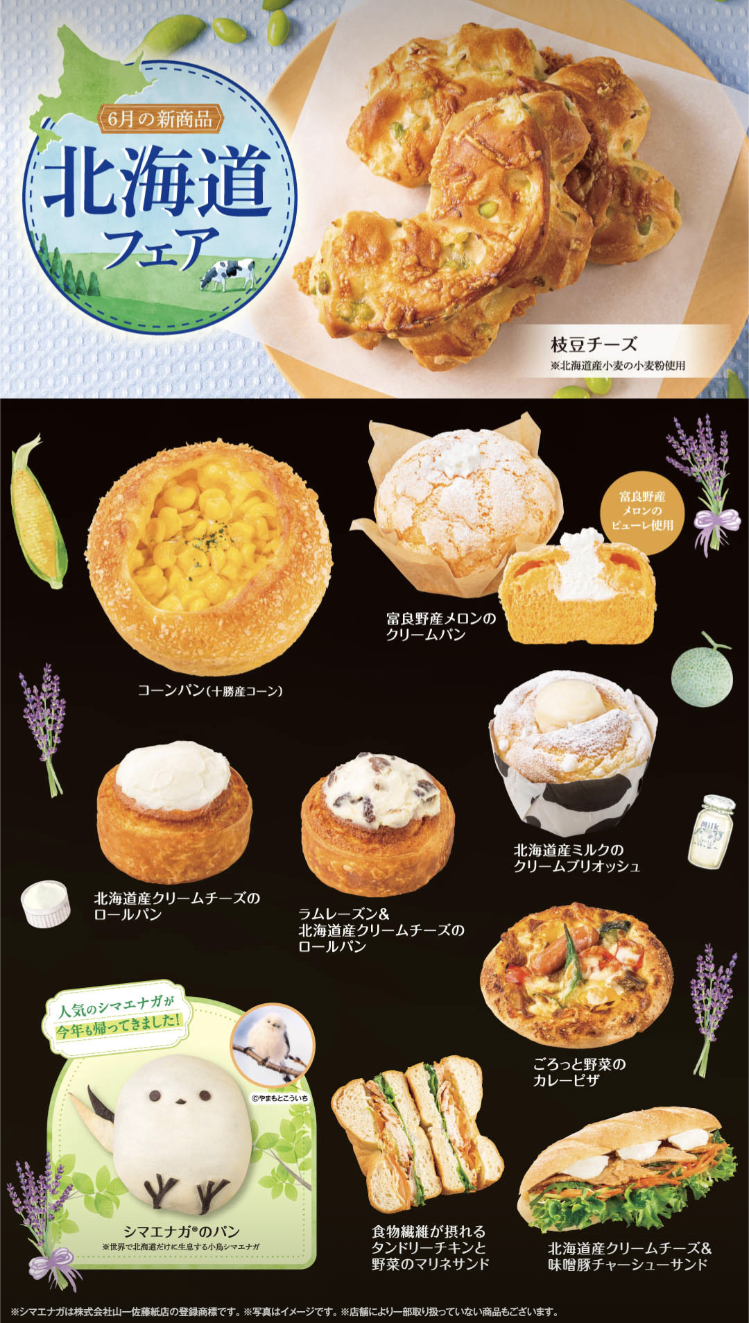 デリフランス6月新製品
