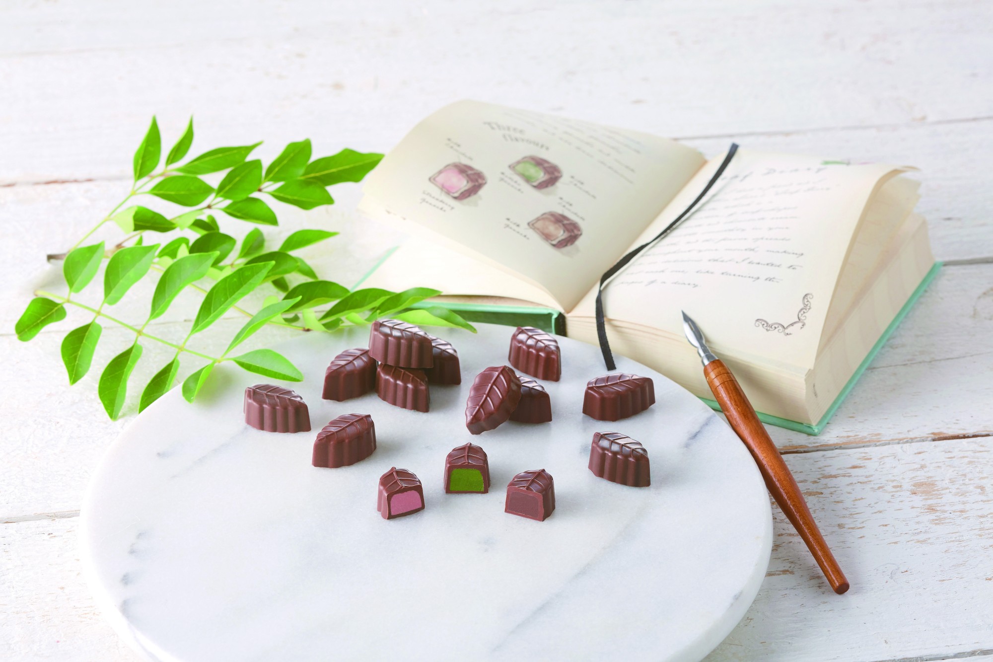 新発売！とろけるリーフのチョコレート