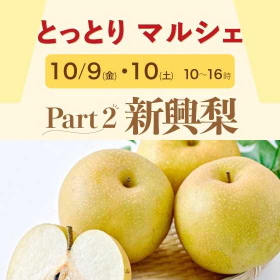 ✨Part 2新興梨✨とっとりマルシェ