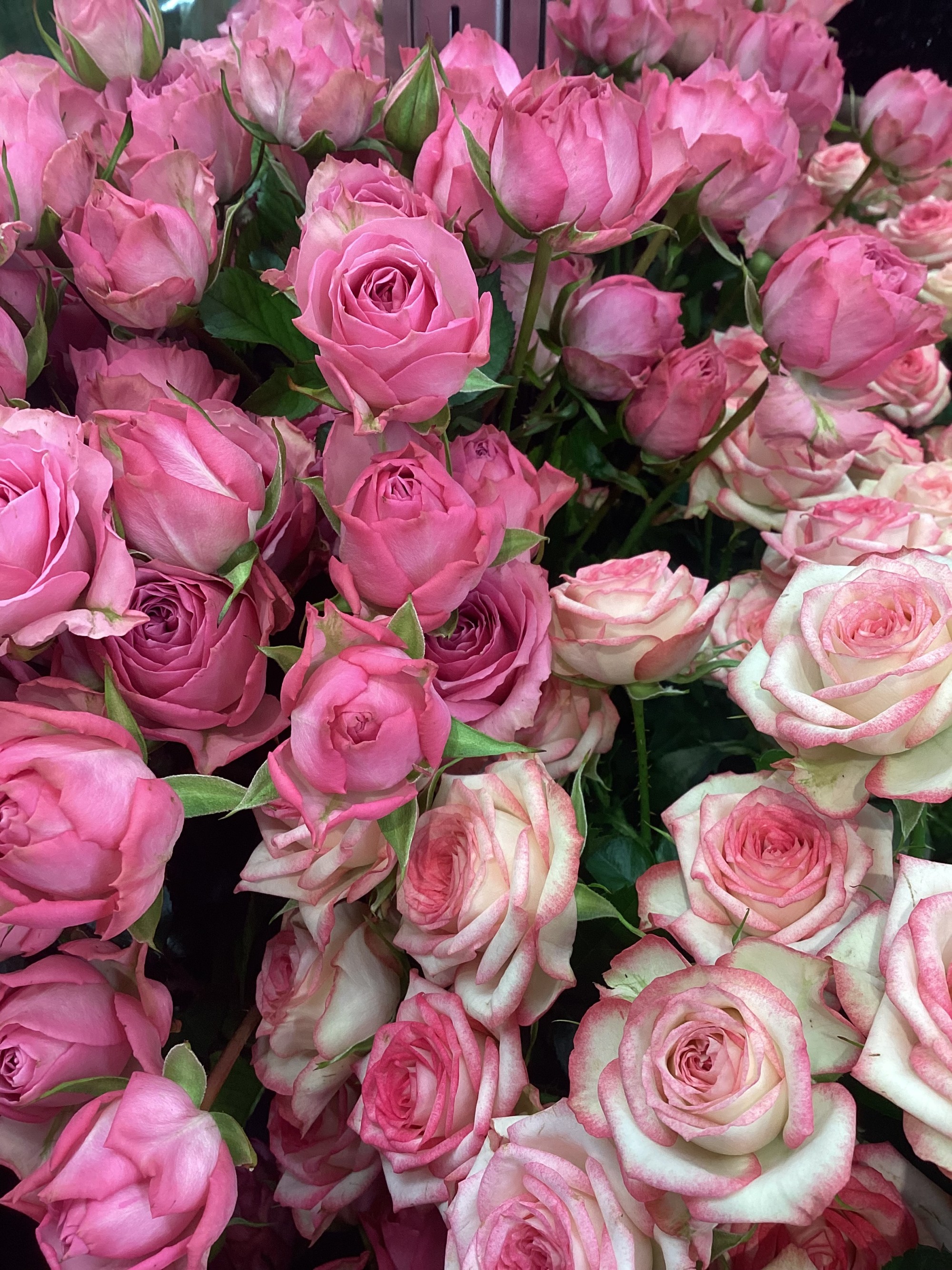 【卒業花の予約受付中】