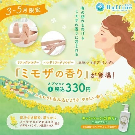 【期間限定】ミモザの香りクーポン配信中
