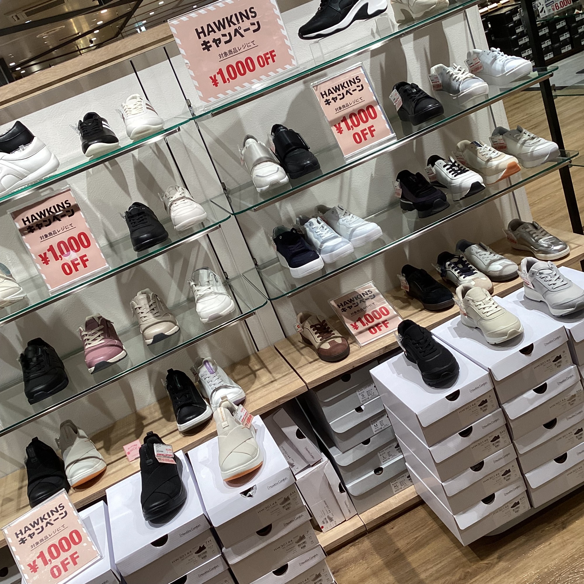 キャンペーンのご案内