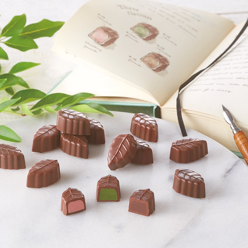 新定番『リーフダイアリー』のご案内♪