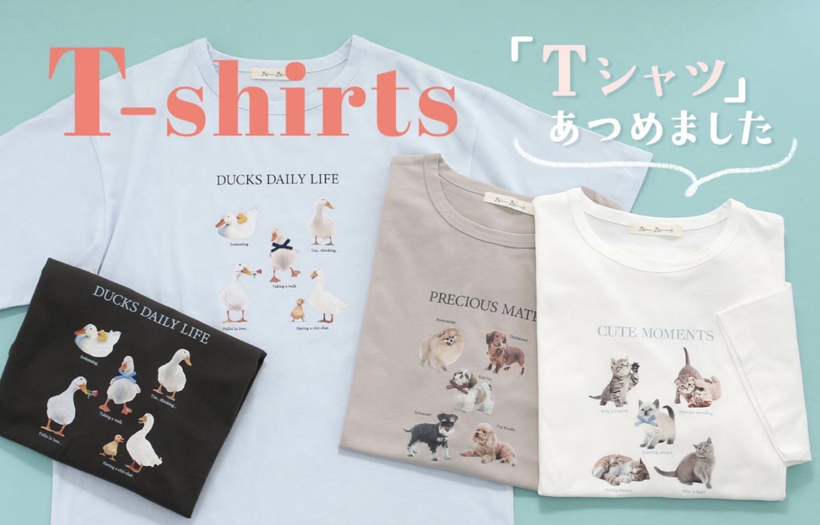 ピックアップイメージ