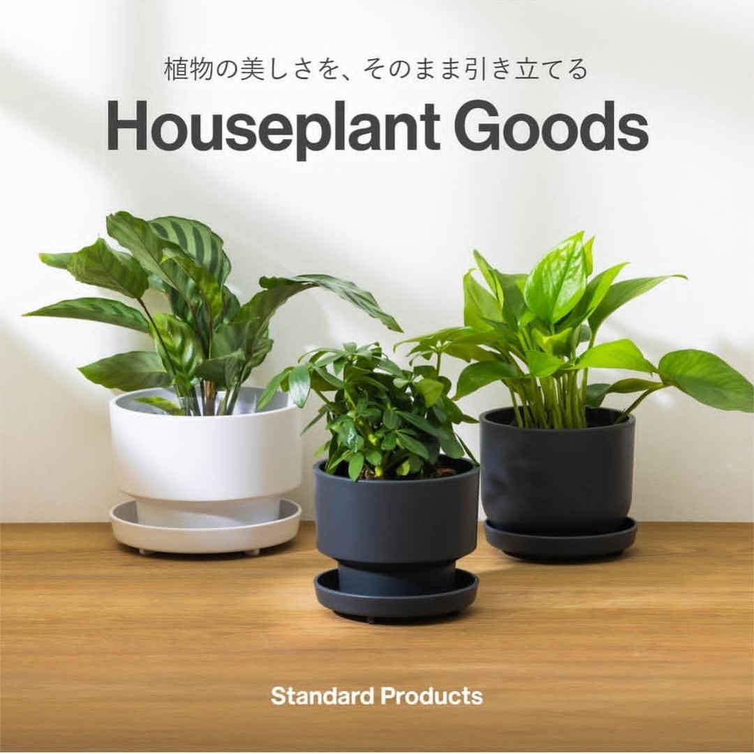 ショップニュースイメージ