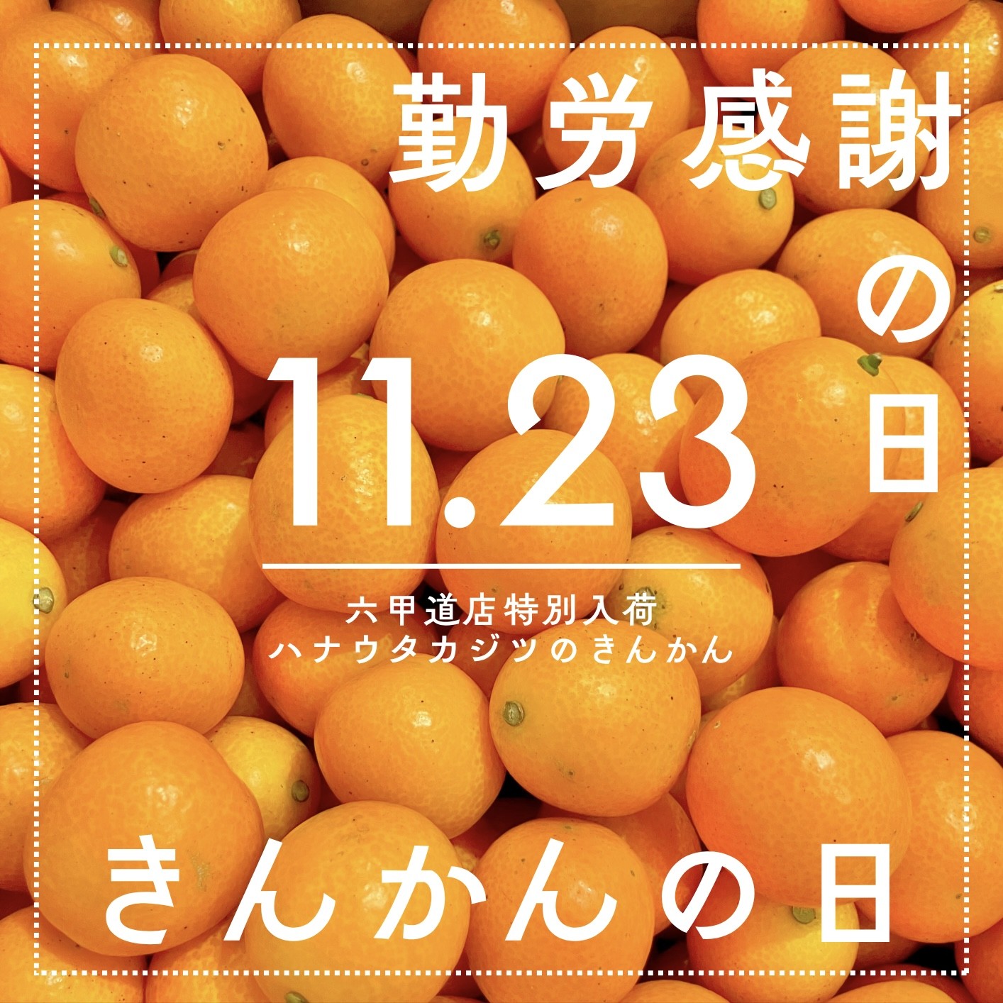 ショップニュースイメージ