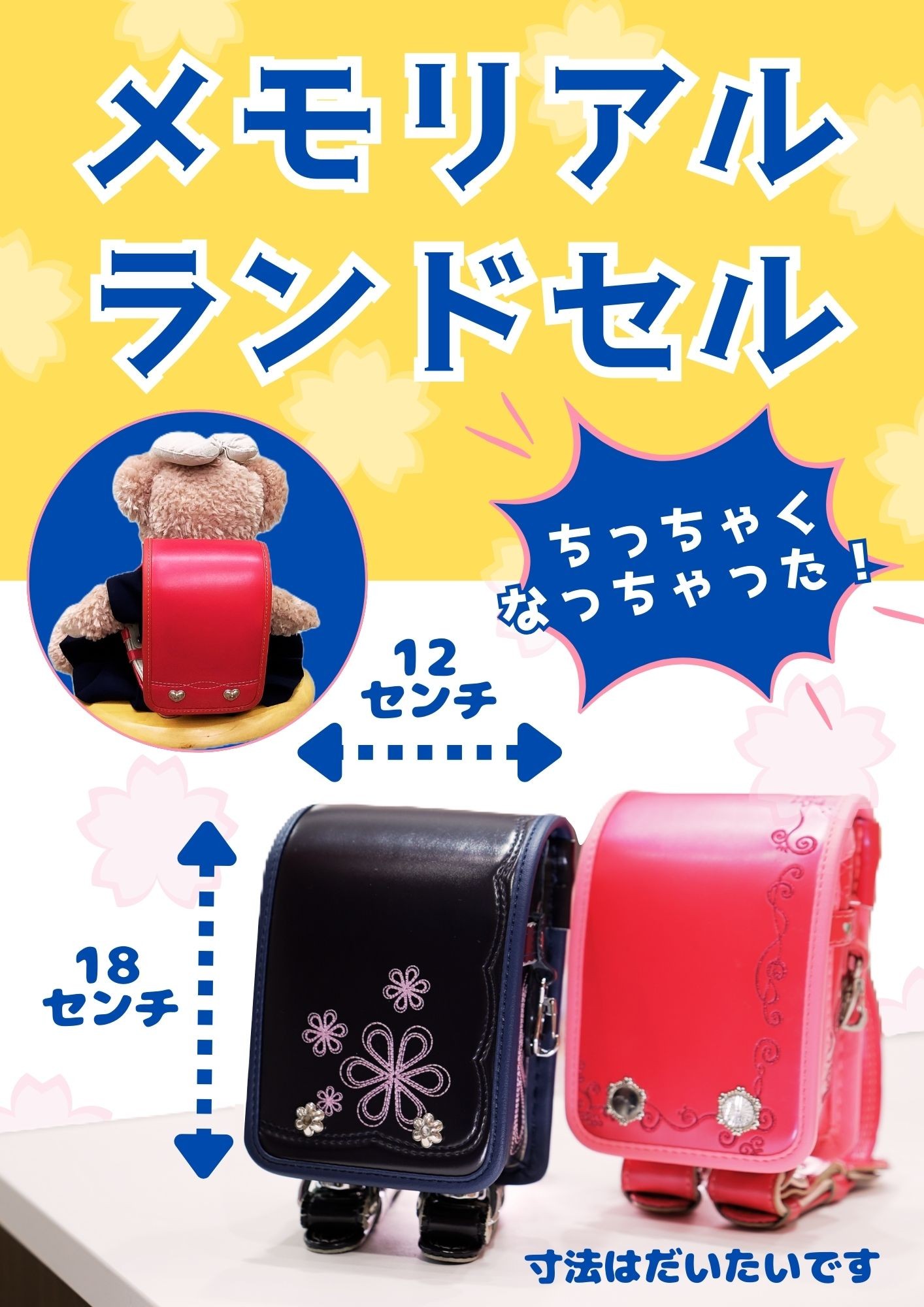 ピックアップイメージ