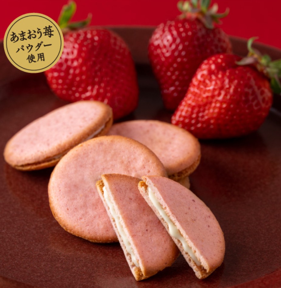 ショップニュースイメージ