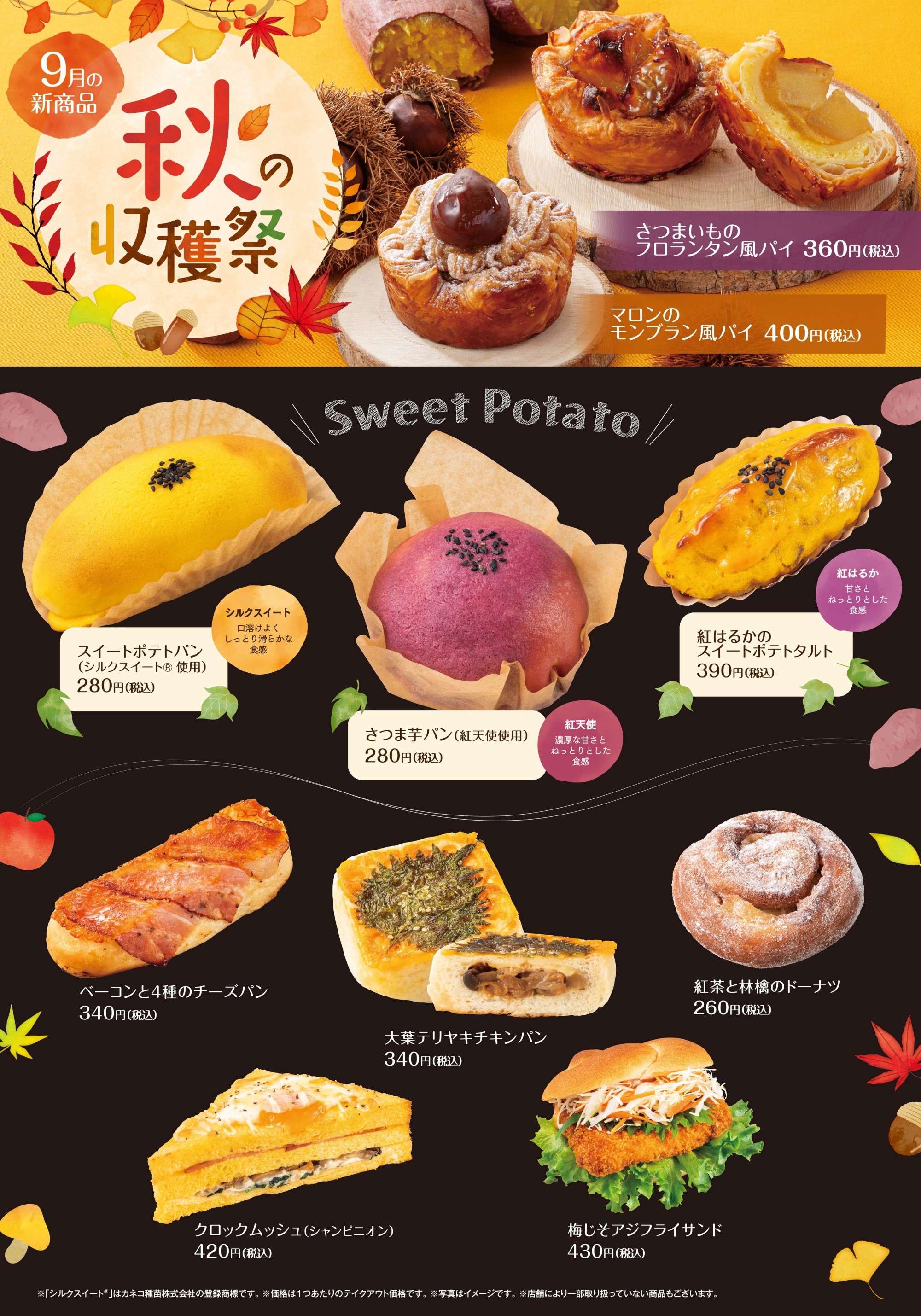 ショップニュースイメージ