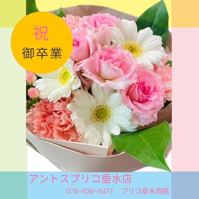 ピックアップイメージ