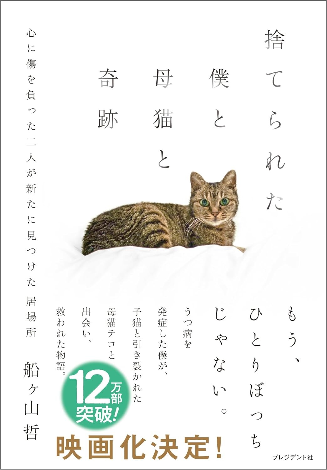 ピックアップイメージ